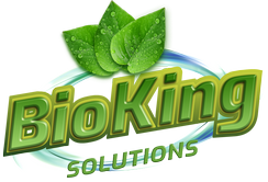 Bioking Logo